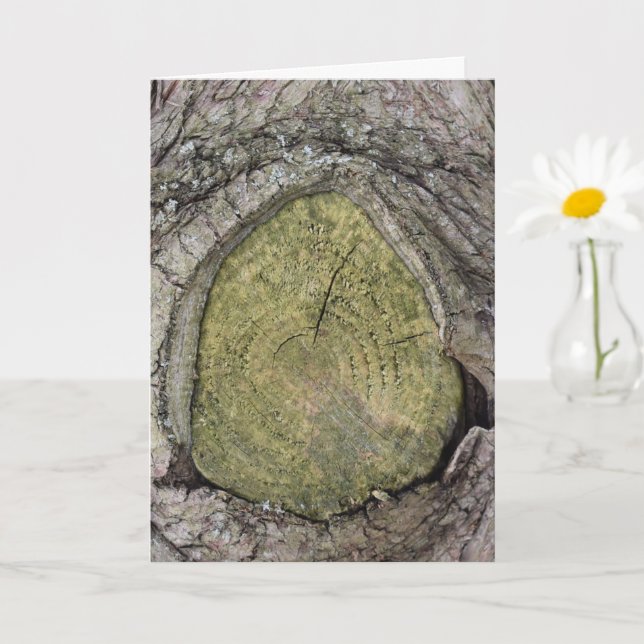 Cut Tree Branch Stub Close Up Card (Small Plant)