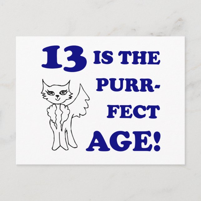 Cute 13th Birthday Present Postcard (Front)