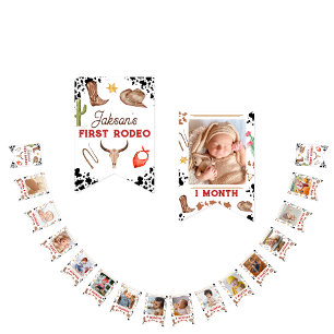 Cute 1st Birthday 12 Month Photo Milestone Bunting