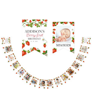 Cute 1st Birthday 12 Month Photo Milestone Bunting