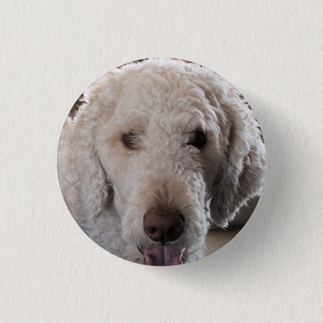 Cute     3 cm round badge (Front)