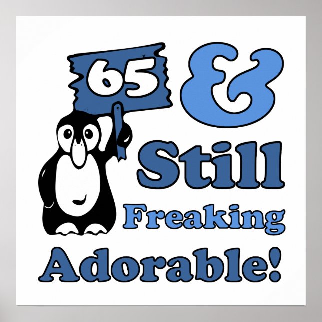 Cute 65th Birthday For Women Poster (Front)