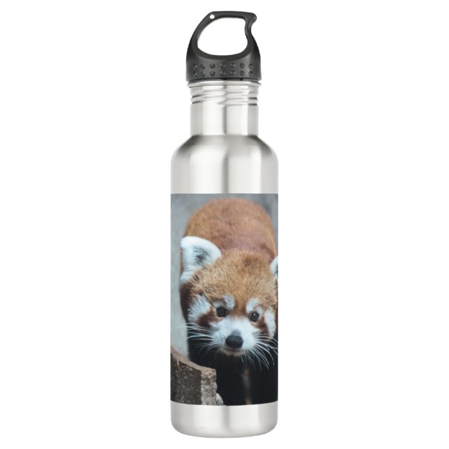 Cute 710 Ml Water Bottle (Front)