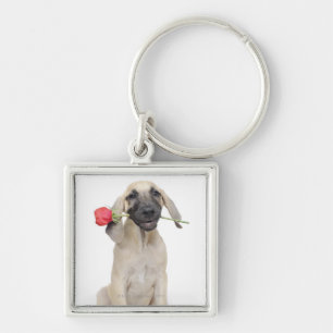 cute,admiration,romance,love, key ring