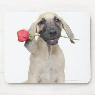 cute,admiration,romance,love, mouse pad