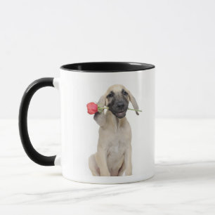 cute,admiration,romance,love, mug
