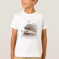 cute adorable baby hedgehog