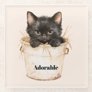 Cute Adorable Black Cat in Bucket Glass Coaster