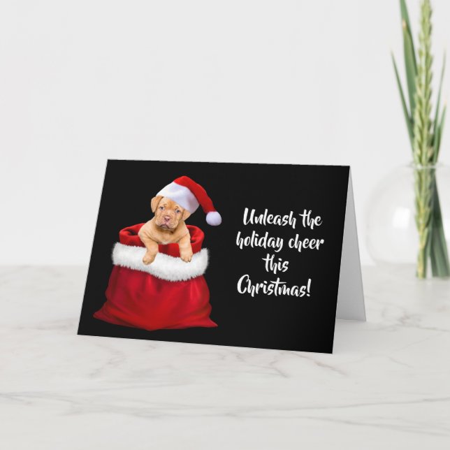 Cute & Adorable Dog Christmas Card (Front)