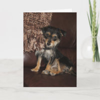 Cute, Adorable Dog Mother's Day