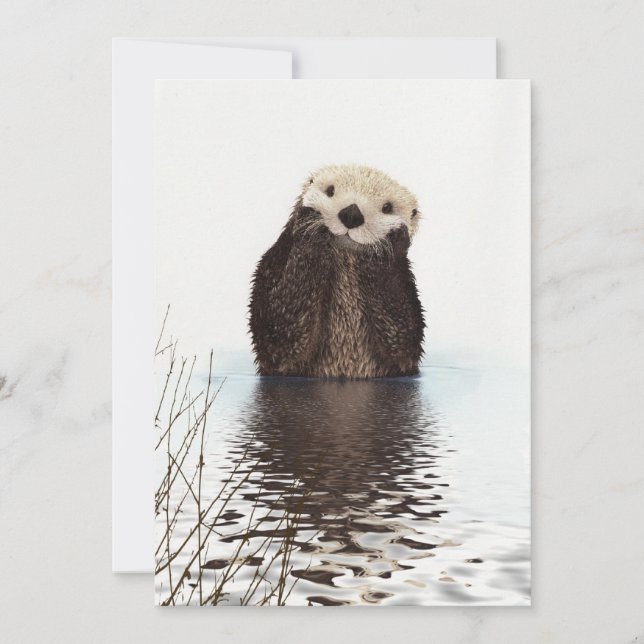Cute Adorable Fluffy Otter Animal Card (Front)