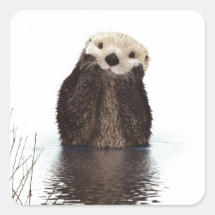 Cute Adorable Fluffy Otter Animal Square Sticker