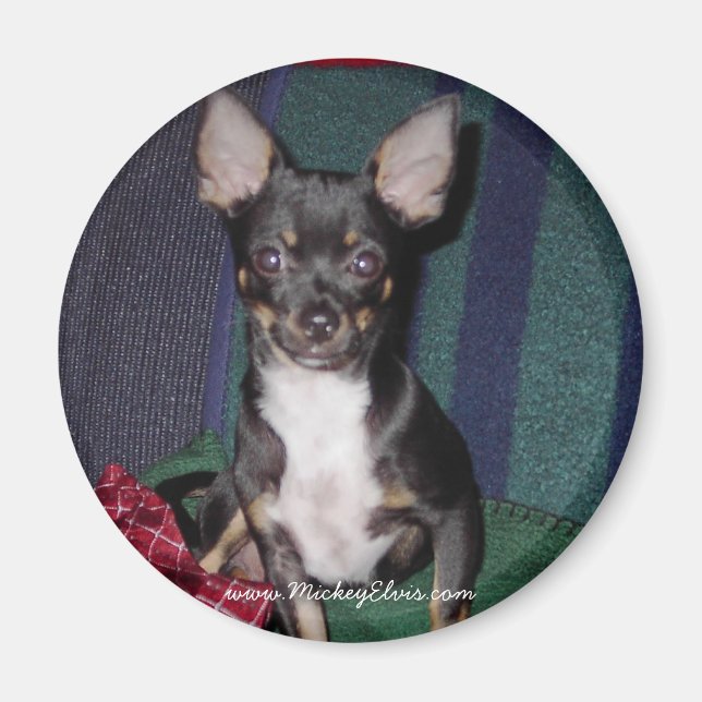 Cute & Adorable MickeyElvis Magnet (Front)