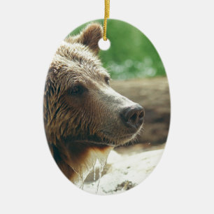 Cute Adorable Nature Bear Animal Face Eyes Ceramic Tree Decoration