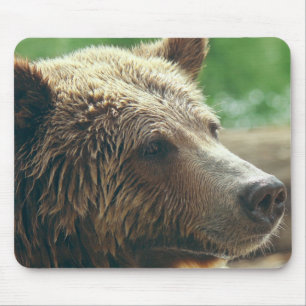 Cute Adorable Nature Bear Animal Face Eyes Mouse Pad