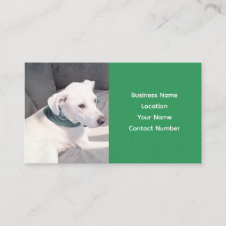 Cute Adorable White Puppy Dog Wearing Green Scarf  Business Card