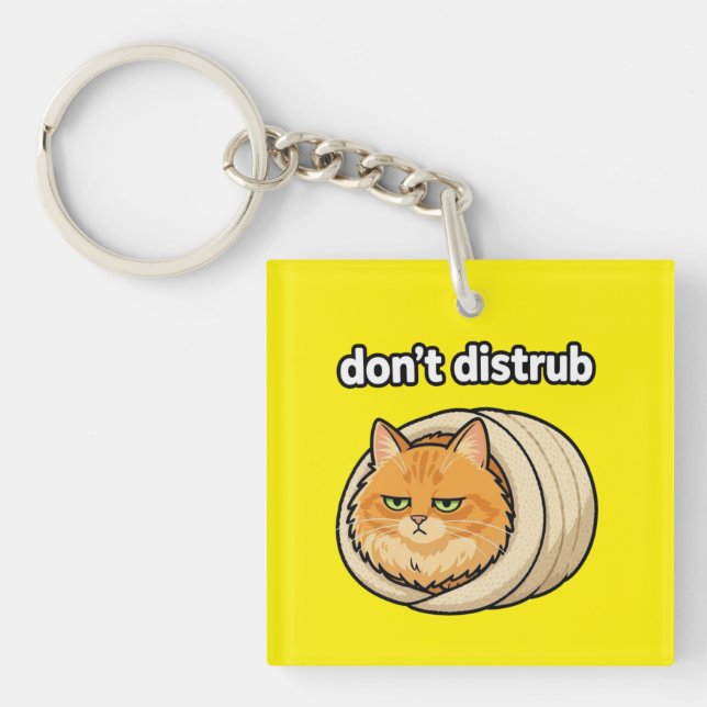Cute Aesthetic Orange Cat Don't Disturb button Key Ring (Front)