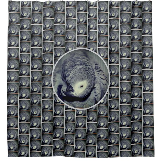 Cute African Grey Parrot Bird  Shower Curtain (Front)