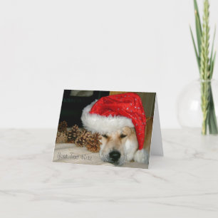 Cute akita dog red santa hat with christmas cones holiday card