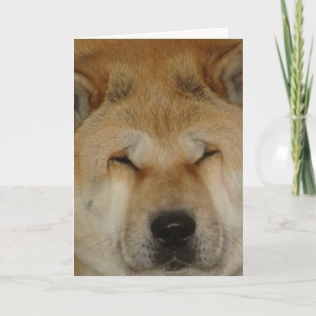 cute akita funny big loving face photograph card (Front)