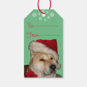 Cute akita in red santa hat christmas dog gift tags
