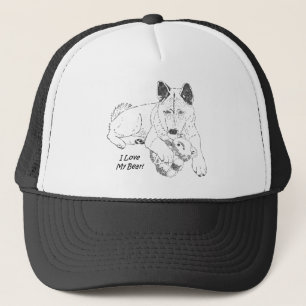 Cute akita with teddy bear dog trucker hat