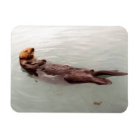 Cute Alaska Sea Otter Photo Designed Refrigerator