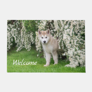 Cute Alaskan Malamute Dog Puppy in Flowers Photo   Doormat