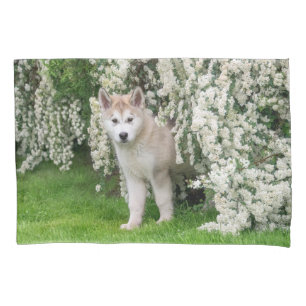 Cute Alaskan Malamute Dog Puppy in Flowers Photo Pillowcase