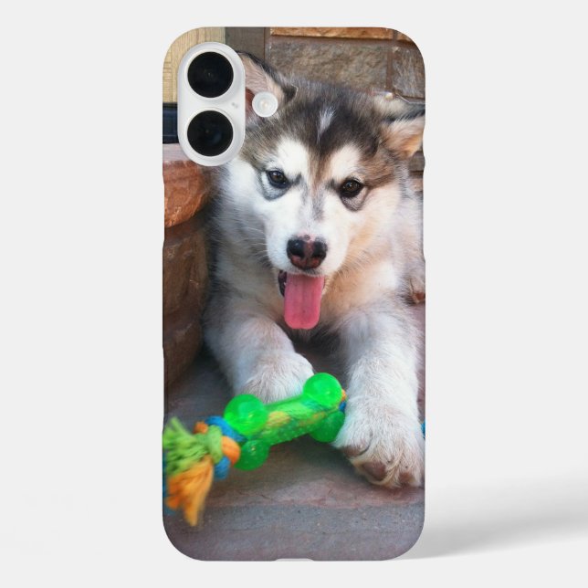 Cute Alaskan Malamute Puppy Photograph Case-Mate iPhone Case (Back)