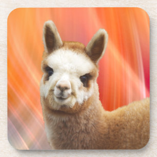 Cute Alpaca Coasters