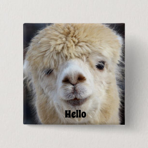 Cute Alpaca face 15 Cm Square Badge