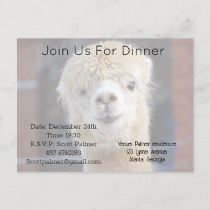 Cute Alpaca face Invitation Postcard