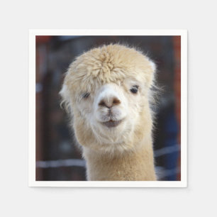 Cute Alpaca face Napkin