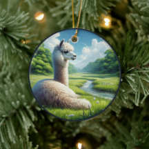 Cute Alpaca in a Meadow 