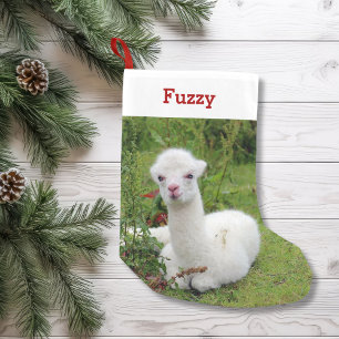 Cute Alpaca Lover Pet Photo and Name Personalised Small Christmas Stocking