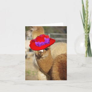 Cute Alpaca Note Cards