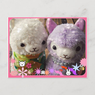 Cute Alpaca Post Card