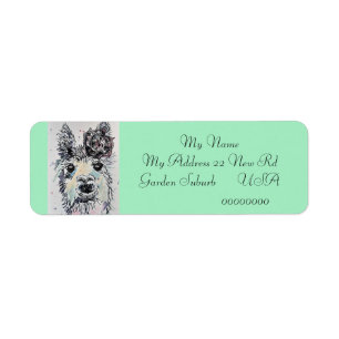 Cute Alpacca LLama Animal Return Address Labels