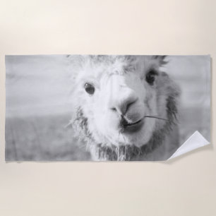 Cute Alpaka bw 1 #animal #nature Beach Towel