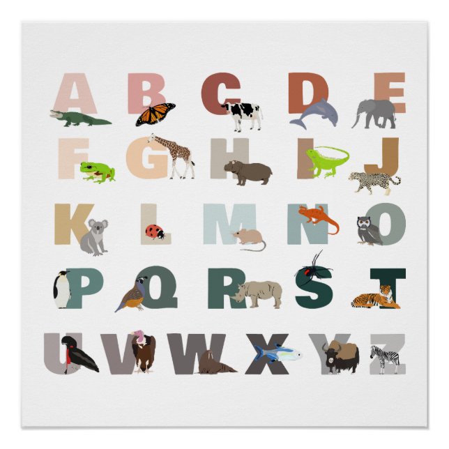 Cute Alphabet ABC Animals Classroom Nursery Poster (Front)