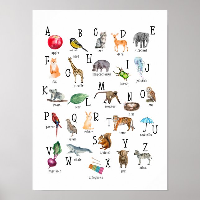 Cute Alphabet ABC Educational Poster (Front)