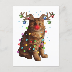 Cute American Bobtail Cat Christmas Holiday Gifts Postcard