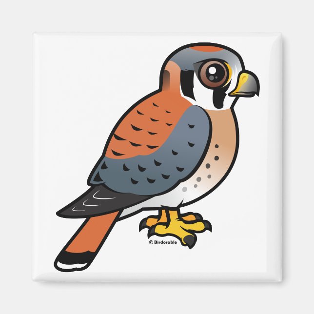 Cute American Kestrel Magnet (Front)
