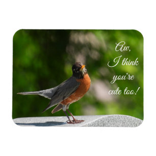 Cute American Robin *customise* Magnet