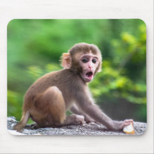 Cute and Adorable Baby Monkey Mouse Pad