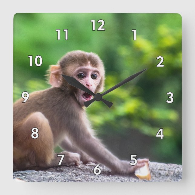 Cute and Adorable Baby Monkey Square Wall Clock (Front)