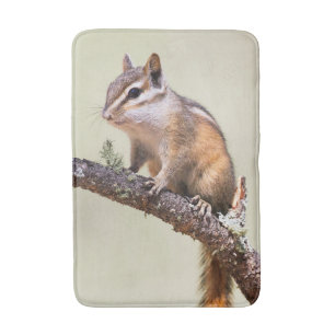 Cute and chubby chipmunk bath mat