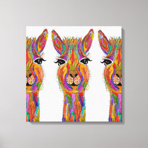 Cute and Colourful Llama Canvas - 20" x 20" Print