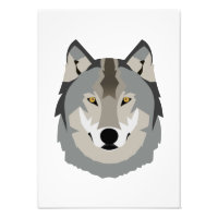 Cute and Cool Grey Wolf Face, Illustrated Animal